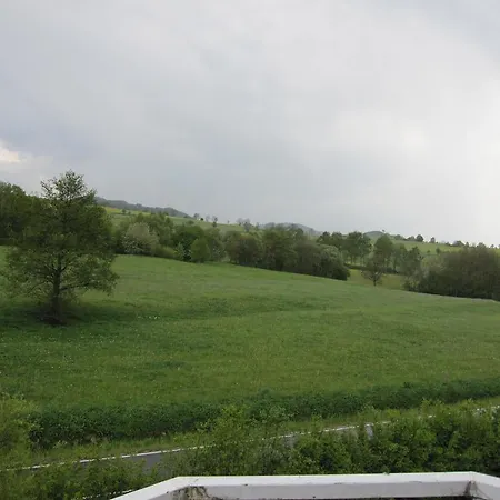 Gertraud Mueller غيرسفلد