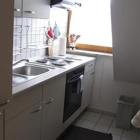 公寓 戈陶德穆勒公寓 *