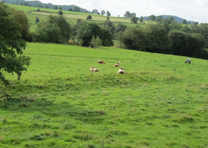 Apartamento Gertraud Mueller